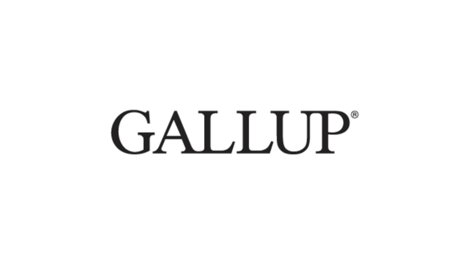Vice President of Marketing & Business Development at Gallup