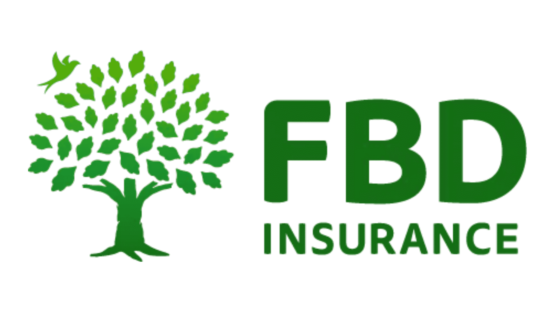 Head of eCommerce at FBD Insurance